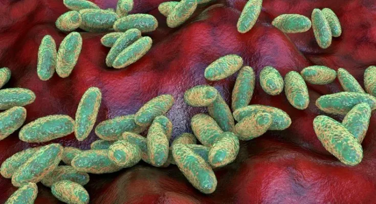 Qué es y cómo se propaga la peste neumónica que se estudia en el laboratorio de Siberia en el que falleció una trabajadora