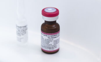 Sarampión: más de 27.000 dosis de la vacuna fueron inoculadas en todo el país