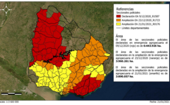 Emergencia agropecuaria – Apicultura