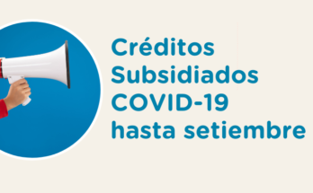 Se extienden hasta setiembre los créditos subsidiados de ANDE para las empresas de los sectores más afectados por la pandemia