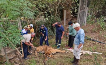 Comenzó el traslado de los animales del Zoológico de Salto