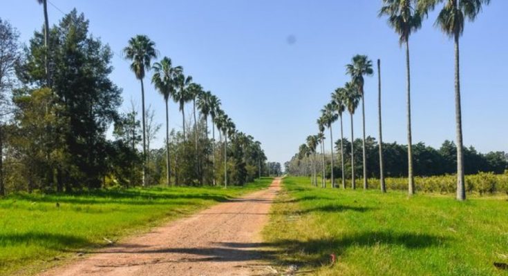 Propuesta de RECATEGORIZACIÓN de tres padrones rurales para la implementación del megaproyecto denominado “EL MILAGRO”