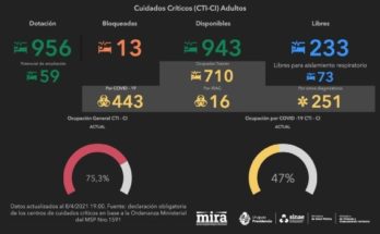 Visualizador de ocupación de camas de CTI de personas adultas