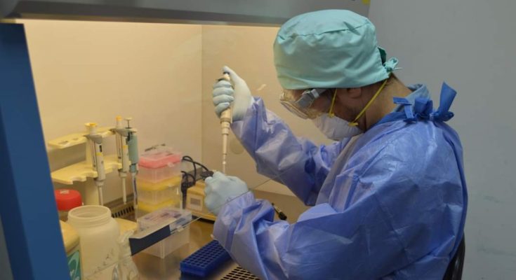 Laboratorio de Virología de Udelar Salto se centrará en la vigilancia y seguimiento epidemiológico de nuevas cepas de COVID-19