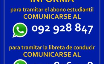 Líneas de WhatsApp del Departamento de Movilidad Urbana