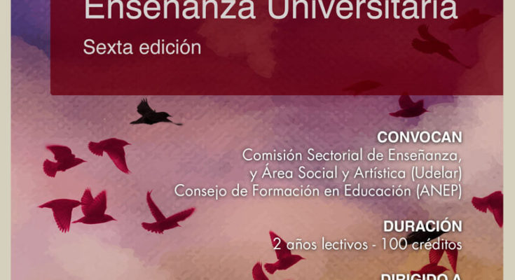 Hasta el 21 de junio se reciben postulaciones para la Maestría en Enseñanza Universitaria. Sexta edición