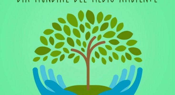 5  de junio de 2021 : DÍA MUNDIAL DEL MEDIO AMBIENTE