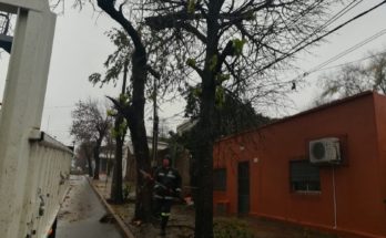 Servicios Públicos con intensa actividad el último fin de semana debido al fuerte temporal