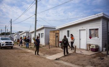 Realizaron plantación de árboles y arbustos en viviendas del PMB