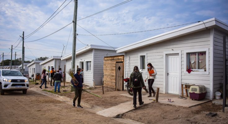 Realizaron plantación de árboles y arbustos en viviendas del PMB