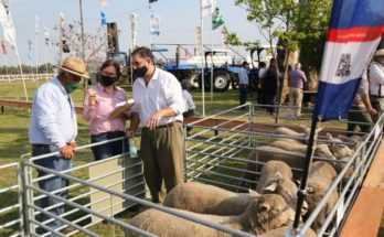 Avanza la organización de la Expo Salto 2021