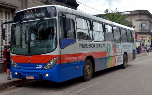 Ómnibus amplían horario el domingo y no tendrá costo para votantes