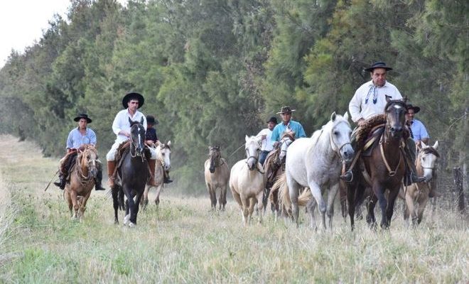 El próximo mes de enero se realiza nuevamente la Marcha al Arerunguá El próximo mes de enero se realiza nuevamente la Marcha al Arerunguá
