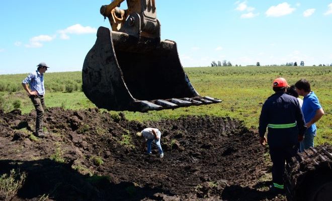 Intendencia realiza limpieza de tajamares en el interior del departamento