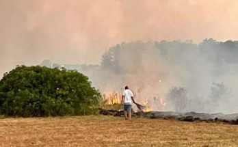 Intendencia exhorta a extremar los cuidados ante el nivel rojo de riesgo de incendios en que se encuentra el país