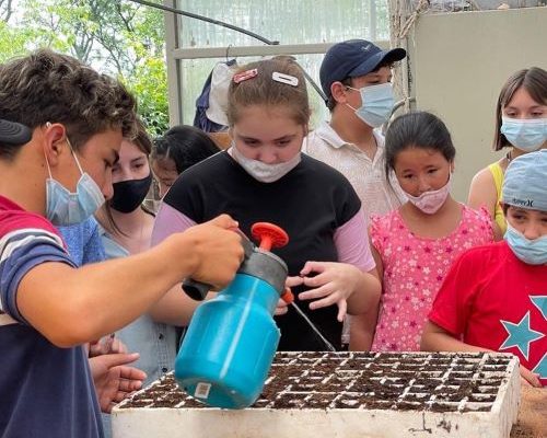 “Siembra nativa”, conociendo la flora autóctona en Salto Grande