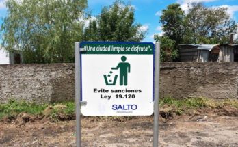 Realizan una jornada de limpieza urbana denominada “plogging” en la zona sur de la ciudad