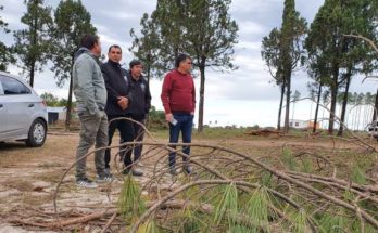 Lima visitó predio donde se realiza el talado de árboles en terrenos que serán destinados a viviendas