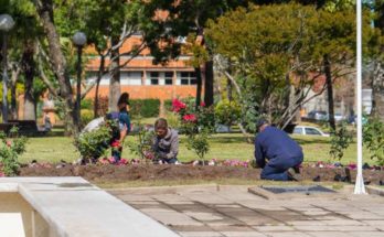 La Intendencia realiza el recambio de plantines florales en varias plazas de la ciudad