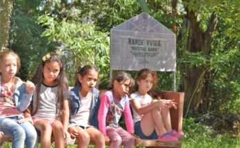 El vivero de Salto Grande, “Ñandé Yvyrá” realizó en estos últimos meses aportes de más de 900 especies de plantas y árboles nativos a la comunidad