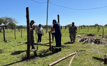 Se realiza una nueva edición del Festival del Joven Rural en el Liceo de Rincón de Valentín