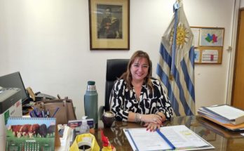 Irene Moreira: “Decir que se harían 50.000 viviendas era una expresión de deseo