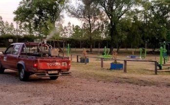 Intendencia de Salto trabaja en fumigación y difunde medidas para combatir al mosquito del dengue Intendencia de Salto trabaja en fumigación y difunde medidas para combatir al mosquito del dengue
