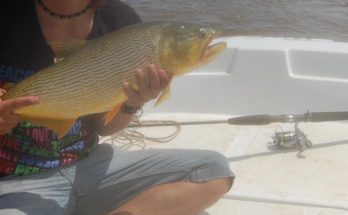 La pesca comercial, deportiva y artesanal estará prohibida en el horario nocturno hasta el 31 de diciembre de 2023