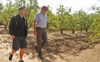 Gobierno define si prorroga emergencia agropecuaria la próxima semana