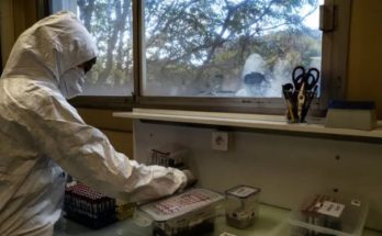El covid probablemente surgió por fuga en laboratorio chino