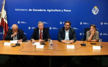 Influenza aviar: Ganadería declara emergencia sanitaria y difunde medidas de prevención
