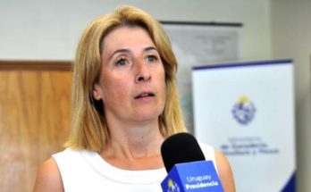 Gobierno instauró obligatoriedad de esterilizar perros y gatos para controlar superpoblación