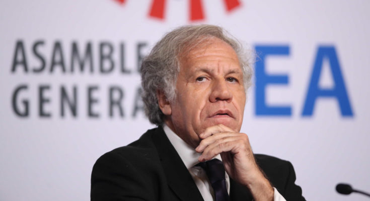 Almagro viajó más de 30 veces junto con una funcionaria con la que tuvo un affaire