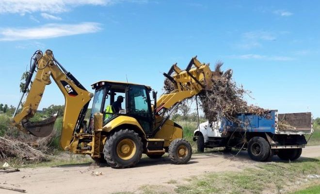 Intendencia de Salto anunció cambios en el sistema de recolección de podas