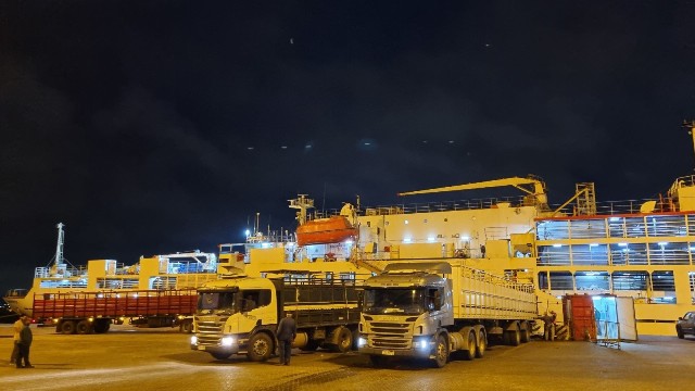 Senador Germán Coutinho destaca el éxito de la exportación de ganado a Marruecos Senador Germán Coutinho destaca el éxito de la exportación de ganado a Marruecos