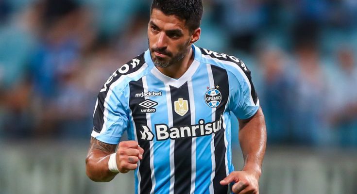 Luis Suárez anotó el segundo gol de Gremio y Borbas selló el 3-3 de Bragantino en la hora