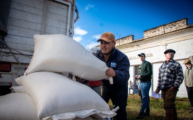 Intendencia de Salto entrega ración a productores afectados por el déficit hídrico