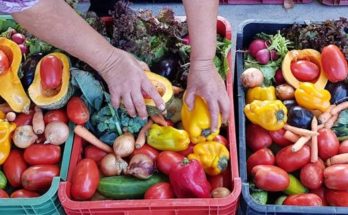 Redalco se prepara para una nueva edición de “Misión Platos”