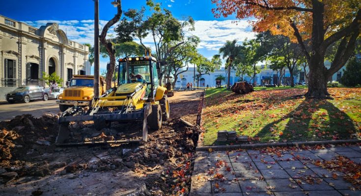 La Intendencia de Salto lleva a cabo la obra de recambio de baldosas en la plaza Treinta y Tres