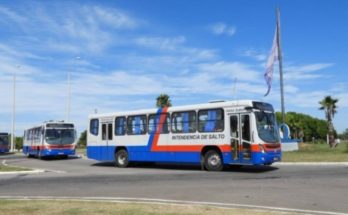 Este martes el servicio de transporte urbano de pasajeros funcionará con horarios de domingo