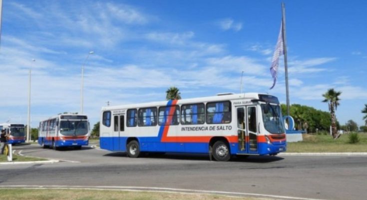 Este martes el servicio de transporte urbano de pasajeros funcionará con horarios de domingo