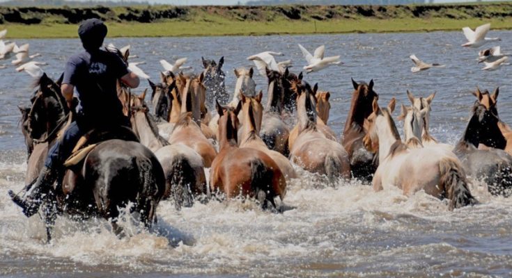 El Museo Metropolitano de Lima inauguró una exposición del fotógrafo uruguayo Marcelo Cattani El Museo Metropolitano de Lima inauguró una exposición del fotógrafo uruguayo Marcelo Cattani