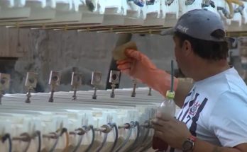 Desempleo bajó en junio a 8,2% respecto a meses anteriores