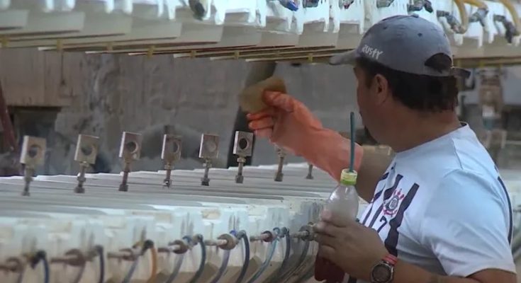 Desempleo bajó en junio a 8,2% respecto a meses anteriores