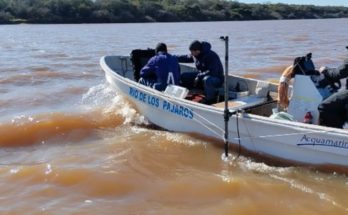 La CARU realizó una evaluación de la población de surubí por segundo año consecutivo