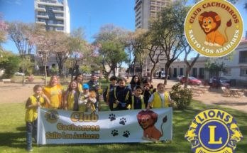 Plantación de Árboles Autóctonos: Compromiso Ambiental del Club de Leones Salto Los Azahares y Clubes Leos