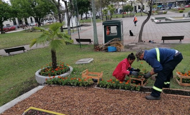 Continúan las mejoras en la Plaza de los Treinta y Tres Orientales