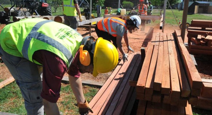 Cursos forestales son ejemplo de descentralización educativa con alta inserción laboral Cursos forestales son ejemplo de descentralización educativa con alta inserción laboral