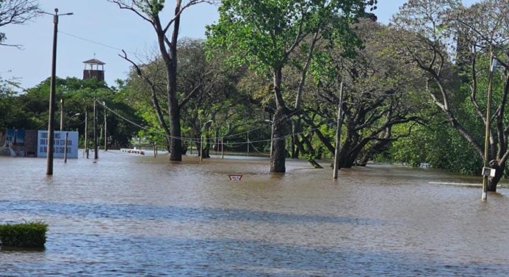 Informe de situación por la creciente del Río Uruguay (25/11/2023 – 17:30 horas)