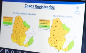 El Ministerio de Ganadería informó que hay 20 casos nuevos de encefalitis equina y se procesan 15 muestras más